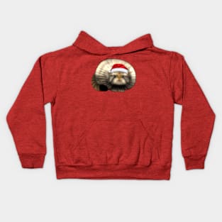 Cute Chonky Kitty In Santa Hat Kids Hoodie